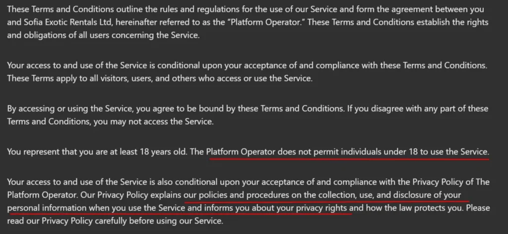 Pornworks AI - Terms and Service
